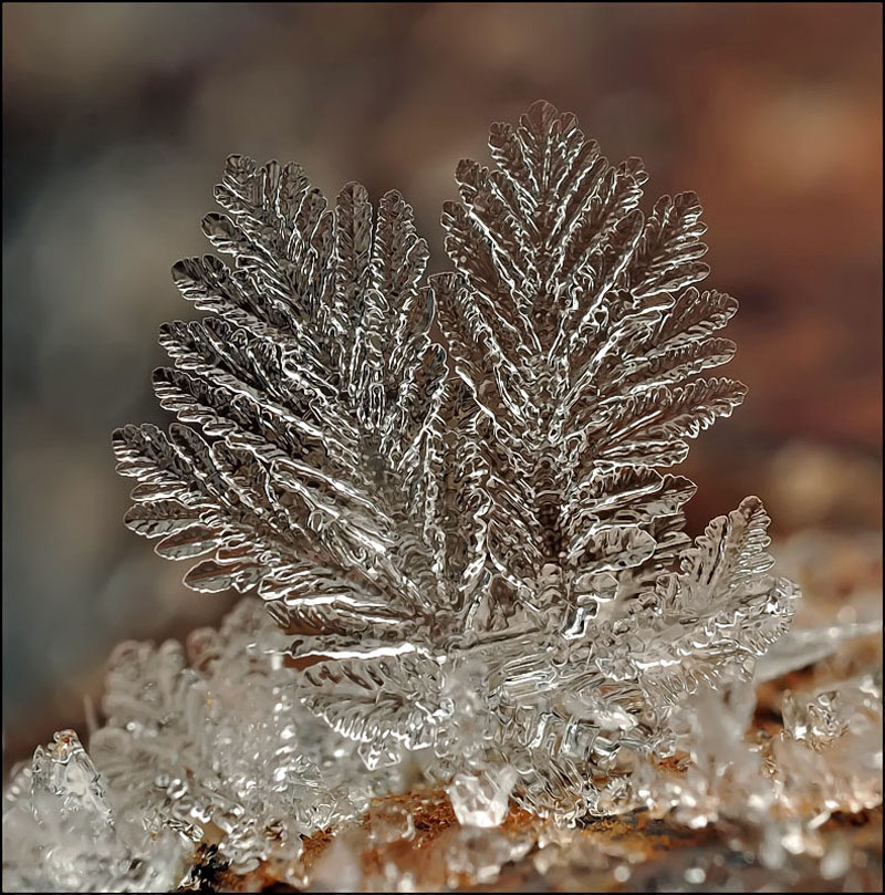 macro-photograph-of-a-snowflake-by-andrew-osokin-6