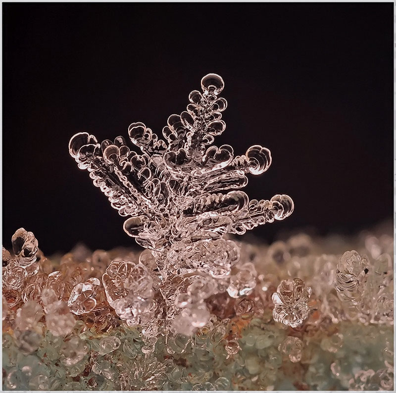 macro-photograph-of-a-snowflake-by-andrew-osokin-7