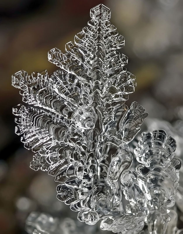 macro-photograph-of-a-snowflake-by-andrew-osokin-8