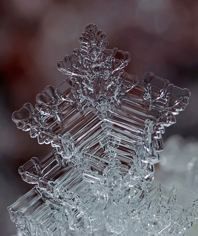 macro-photograph-of-a-snowflake-by-andrew-osokin-9