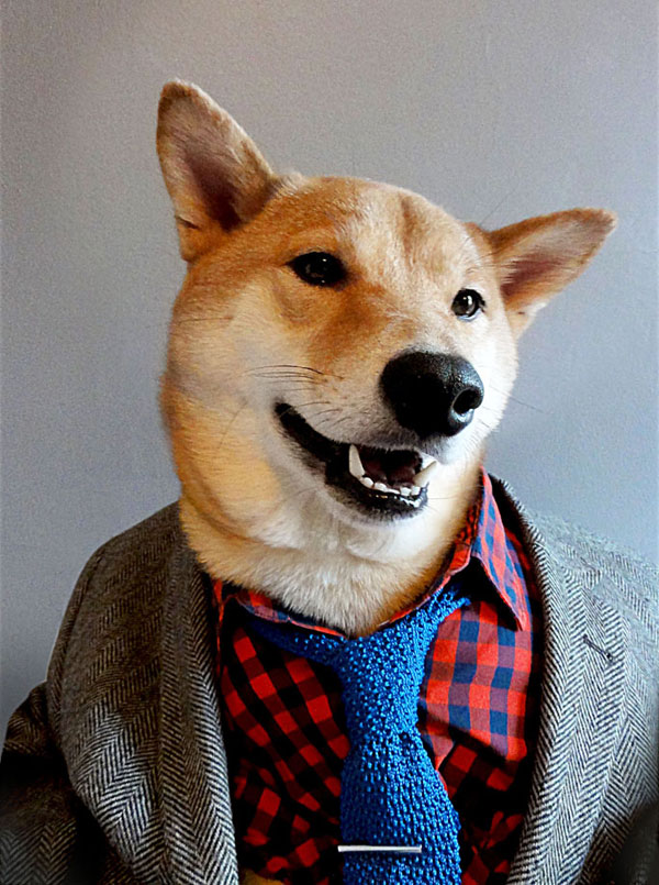 menswear-dog-dressed-in-clothes-fashion-look-book-2