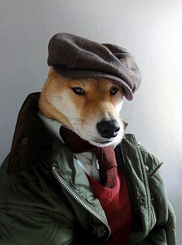 menswear-dog-dressed-in-clothes-fashion-look-book-4