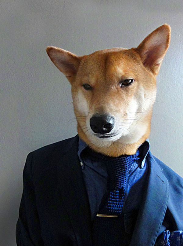 menswear-dog-dressed-in-clothes-fashion-look-book-6