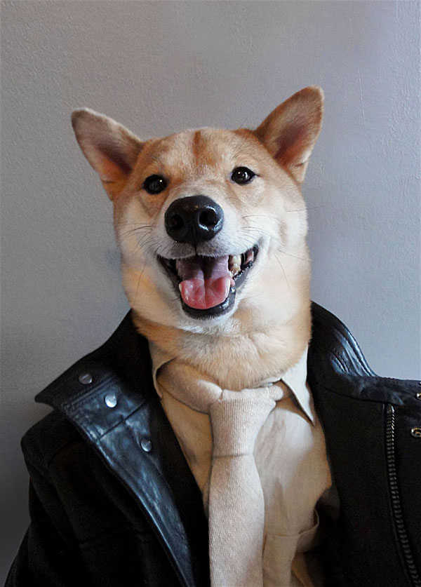 menswear-dog-dressed-in-clothes-fashion-look-book-7
