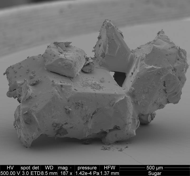 microscopic-image-of-sugar-crystal-david-mccarthy
