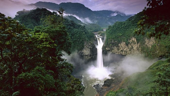the-beauty-of-amazon-forest-36