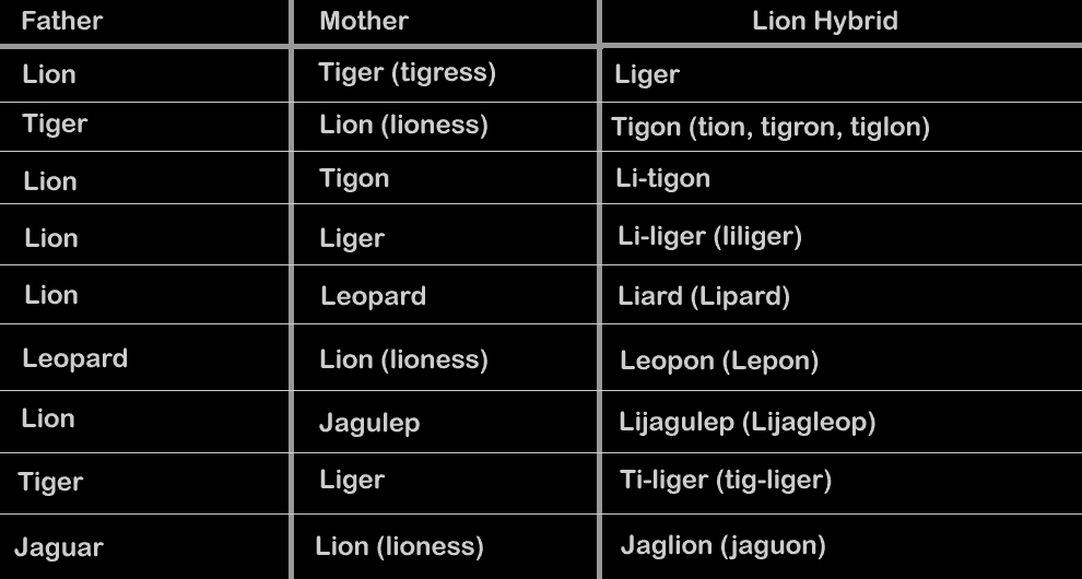 Lion-Hybrid-chart