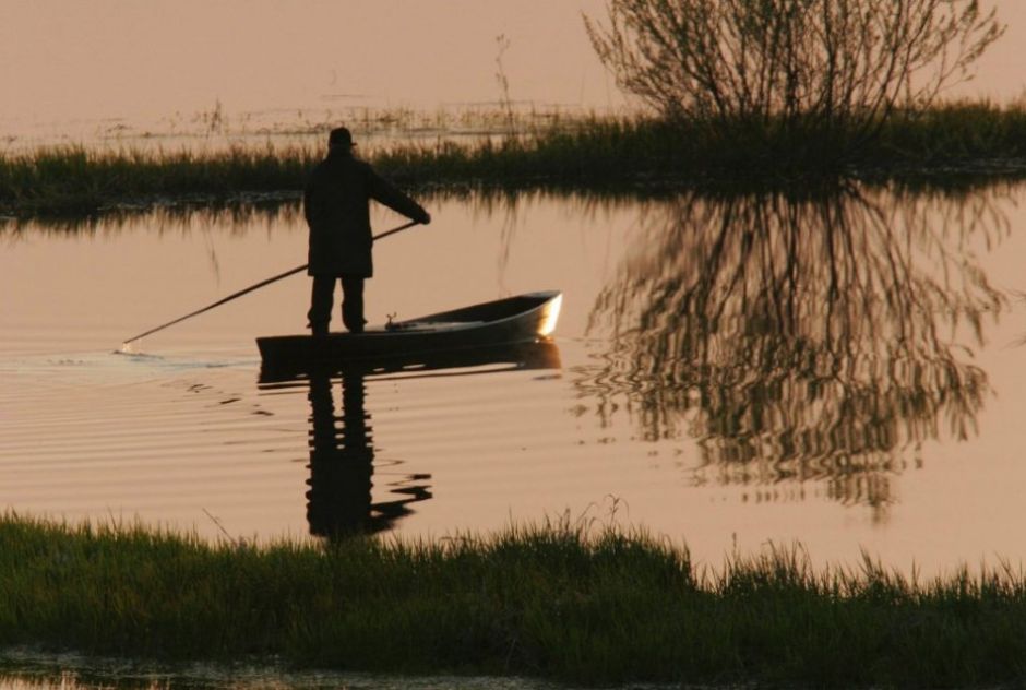 Biebrza River, Biebrza National Park - Burzyn area. A man in traditional fishing boat / Piotr Skórnicki / Agencja Gazeta