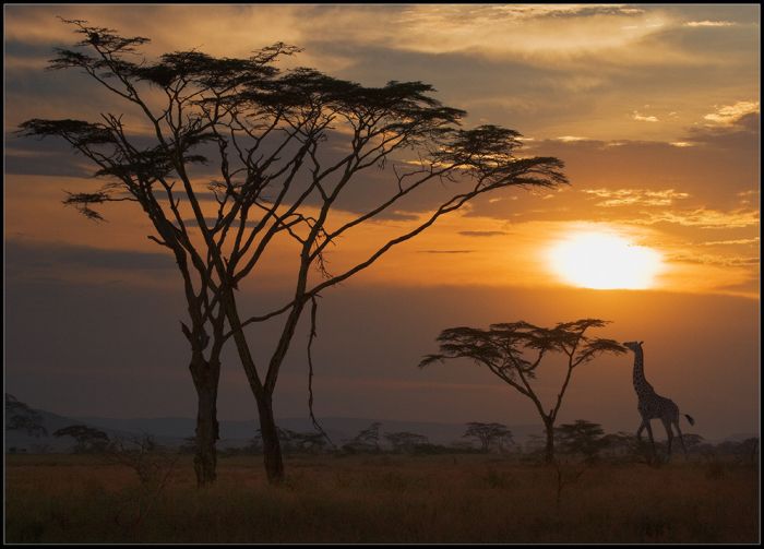 gorgeous_photos_that_will_make_you_want_to_visit_africa_24