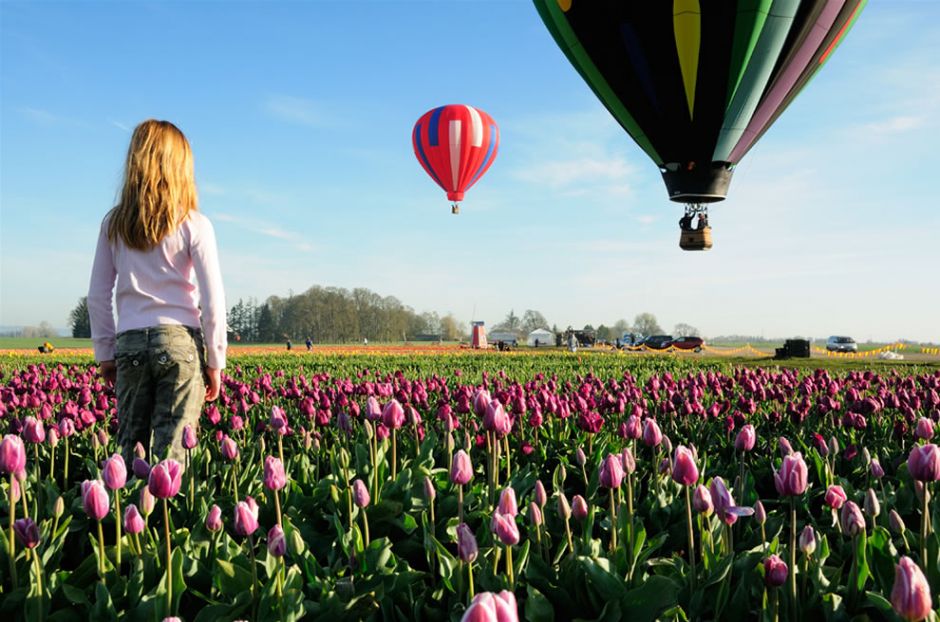 Dreamin’ – Hot Air Balloon Rides over the Wooden Shoe Tulip Farm; it has has over 40 acres of tulips and daffodils. “Our favorite time of year is when the tulips bloom! There is nothing like the colors of our tulip fields in the spring. Every year the varieties are arranged differently in a new pattern of color as we rotate our tulip fields to a new location.” Photo by Jesse Millan