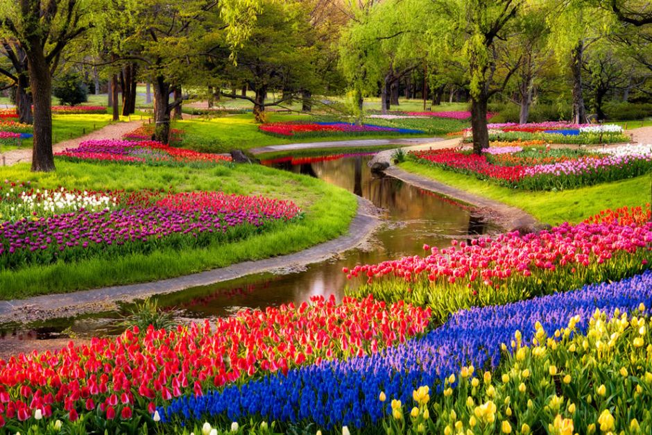 Serpent Garden in Japan. Tiptoe Through the Tulips “was also featured in the 2011 horror film Insidious a number of times throughout, and in the thriller film Wrecked as a radiotune. The song was also mentioned in Harry Potter and the Philosopher’s Stone on page 34. Vernon Dursley was humming the song while he boarded up small cracks around the front and back doors of his house so he could stop letters from Hogwarts reaching his nephew. The song is played every year by the Holland High School marching band in the Tulip Time festival parades each May in Holland, Michigan.” Photo by Agustin Rafael Reyes