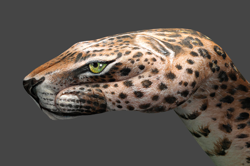 Leopard1