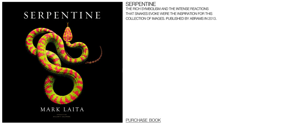 serpentine_1