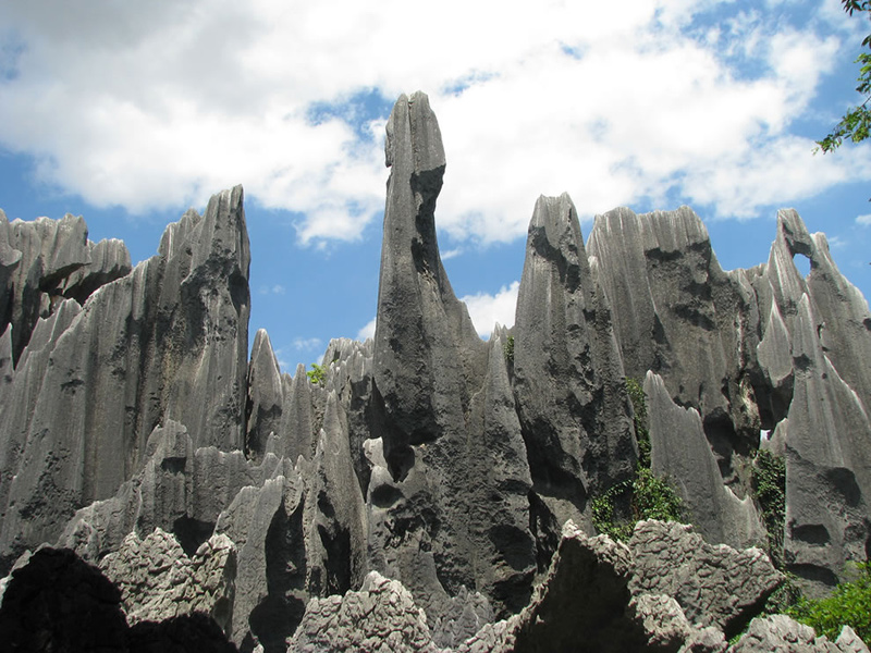 Stone-Forest-Shi-Lin