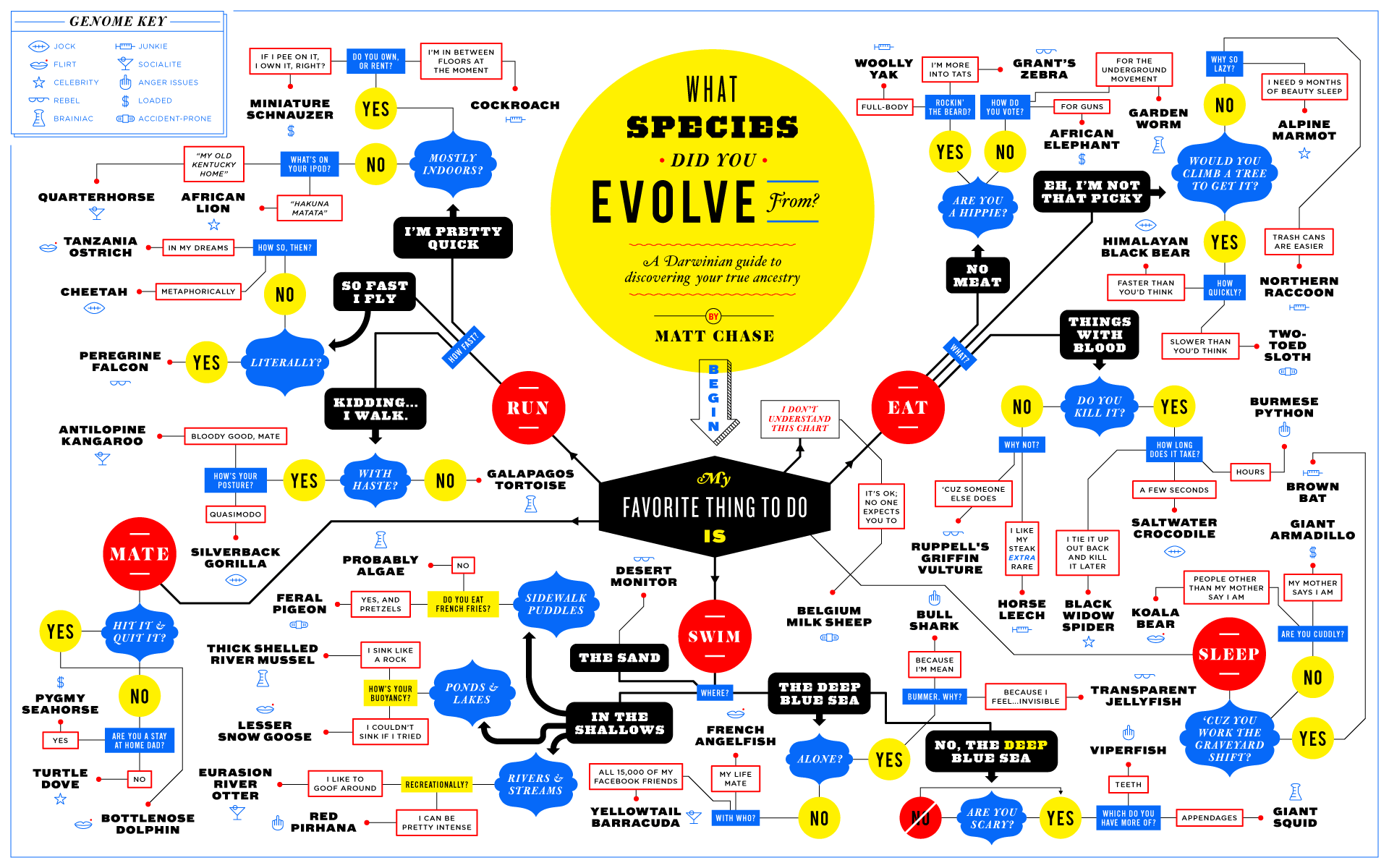 What species did you evolve from?
