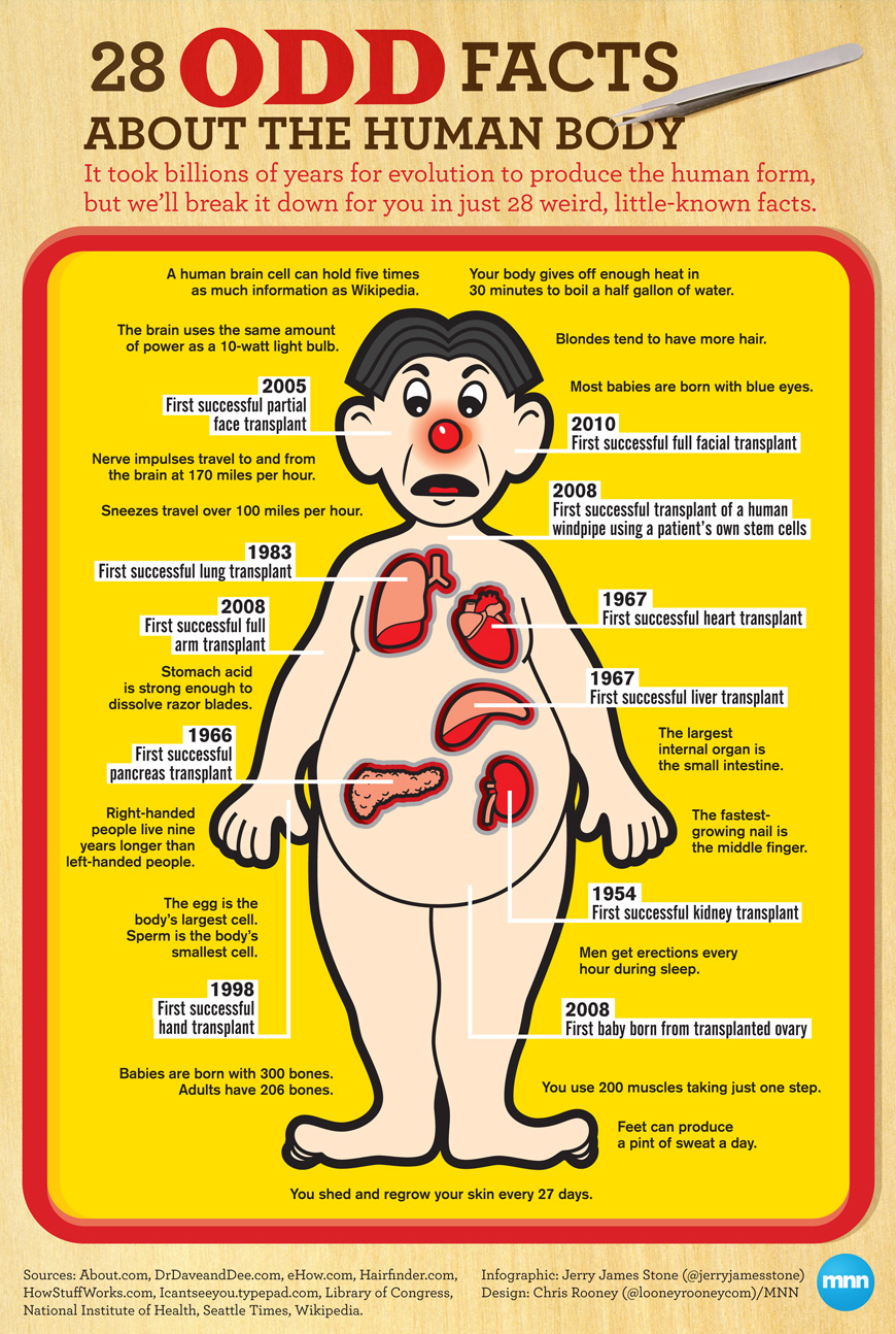 Odd-Human-Body-Facts-Infographic