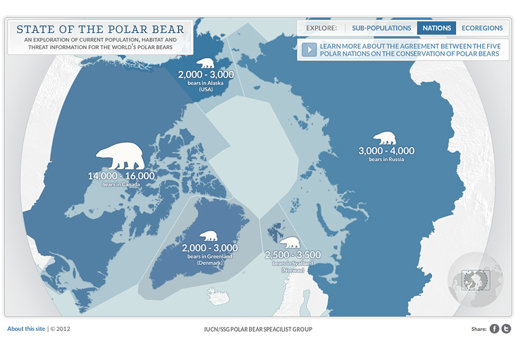 state-of-the-polar-bear