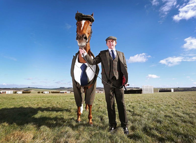horse-in-a-tweed-suit-looking-absolutely-dapper-2