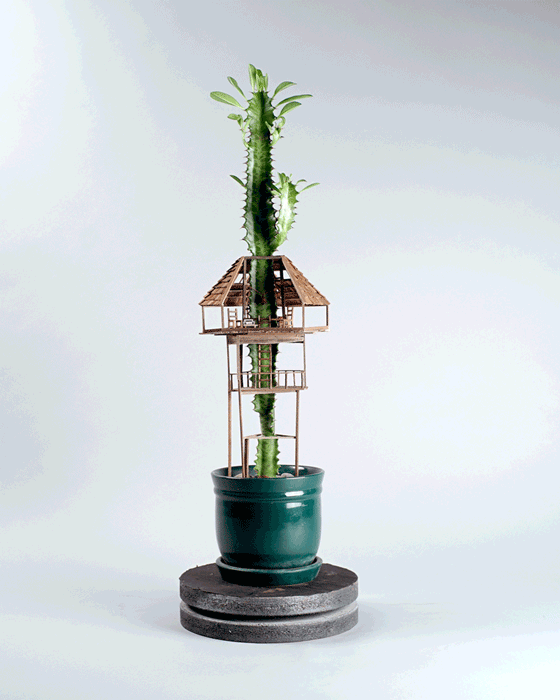 treehouses-for-house-plants-by-jedediah-corwyn-voltz-2