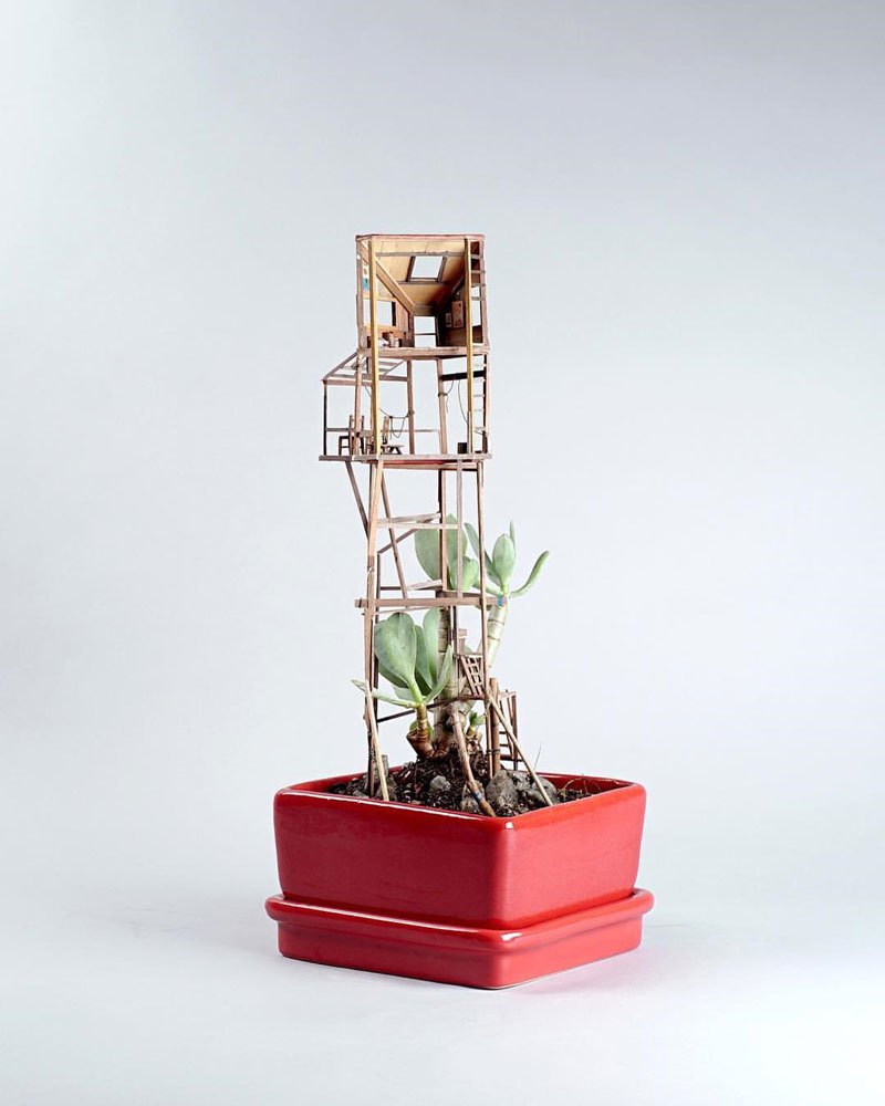 treehouses-for-house-plants-by-jedediah-corwyn-voltz-9