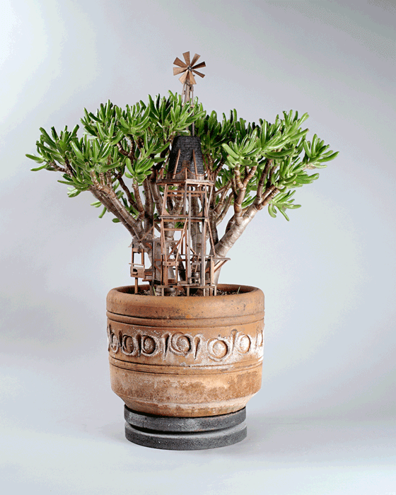 treehouses-for-house-plants-by-jedediah-corwyn-voltz-3