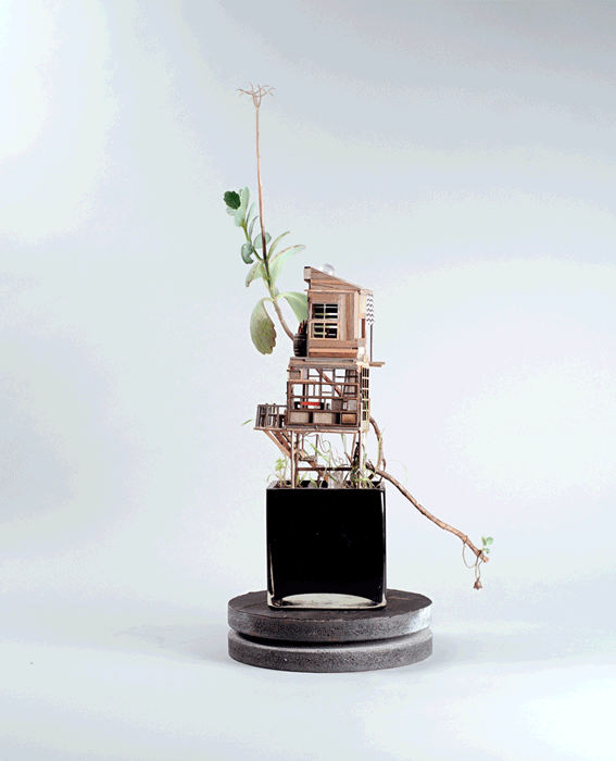 treehouses-for-house-plants-by-jedediah-corwyn-voltz-1