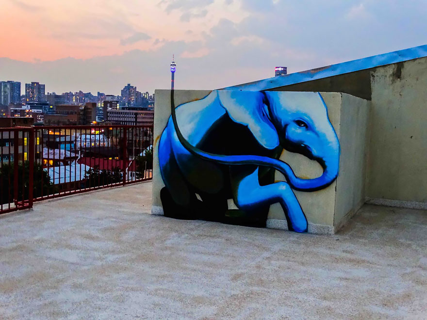 interactive-elephant-street-art-falco-one-south-africa-6