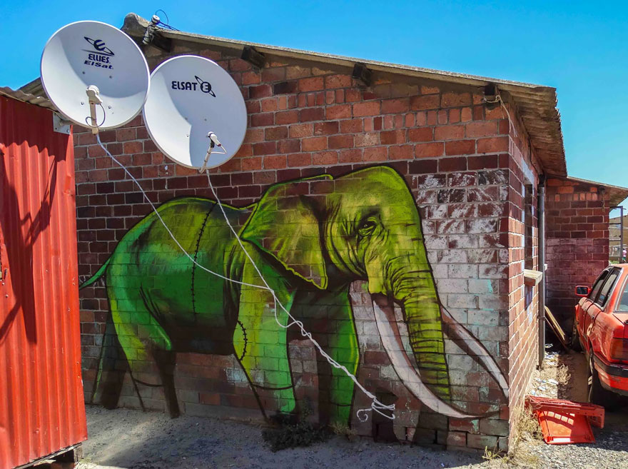 interactive-elephant-street-art-falco-one-south-africa-11