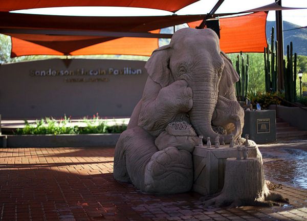 elephant-mouse-playing-chess-sand-sculpture-ray-villafane-sue-beatrice-12
