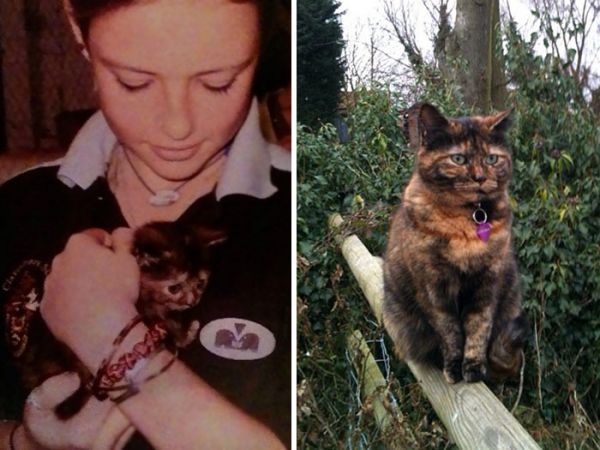 before-after-pets-growing-old-first-last-photos-50-577badff14979__700