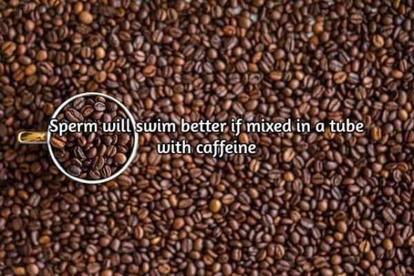 facts-about-coffee-13
