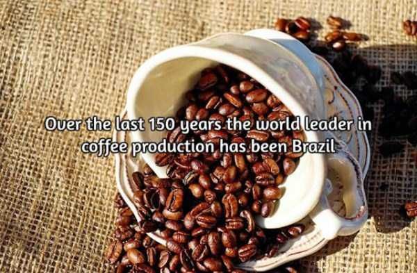 facts-about-coffee-16