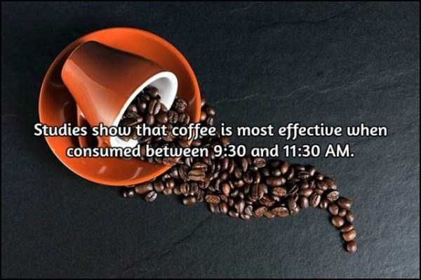 facts-about-coffee-3