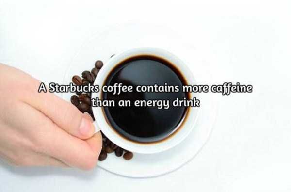 facts-about-coffee-1