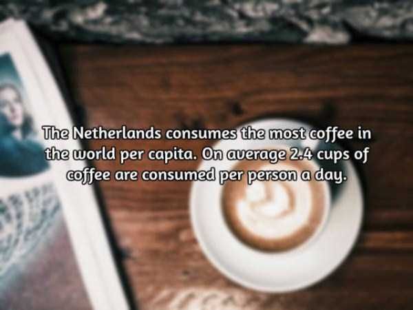 facts-about-coffee-12