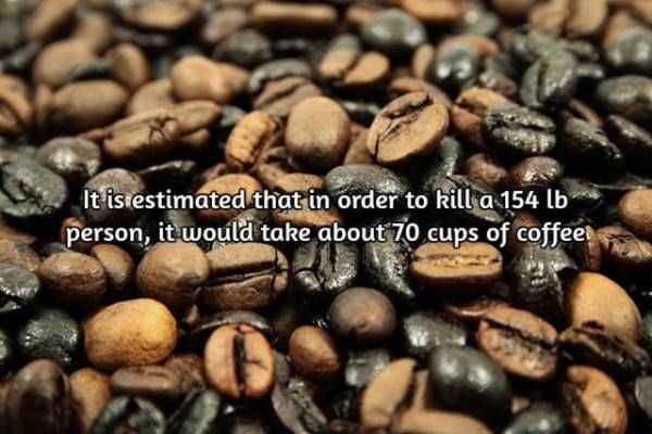 facts-about-coffee-14