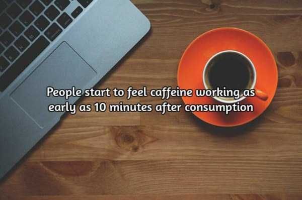 facts-about-coffee-20