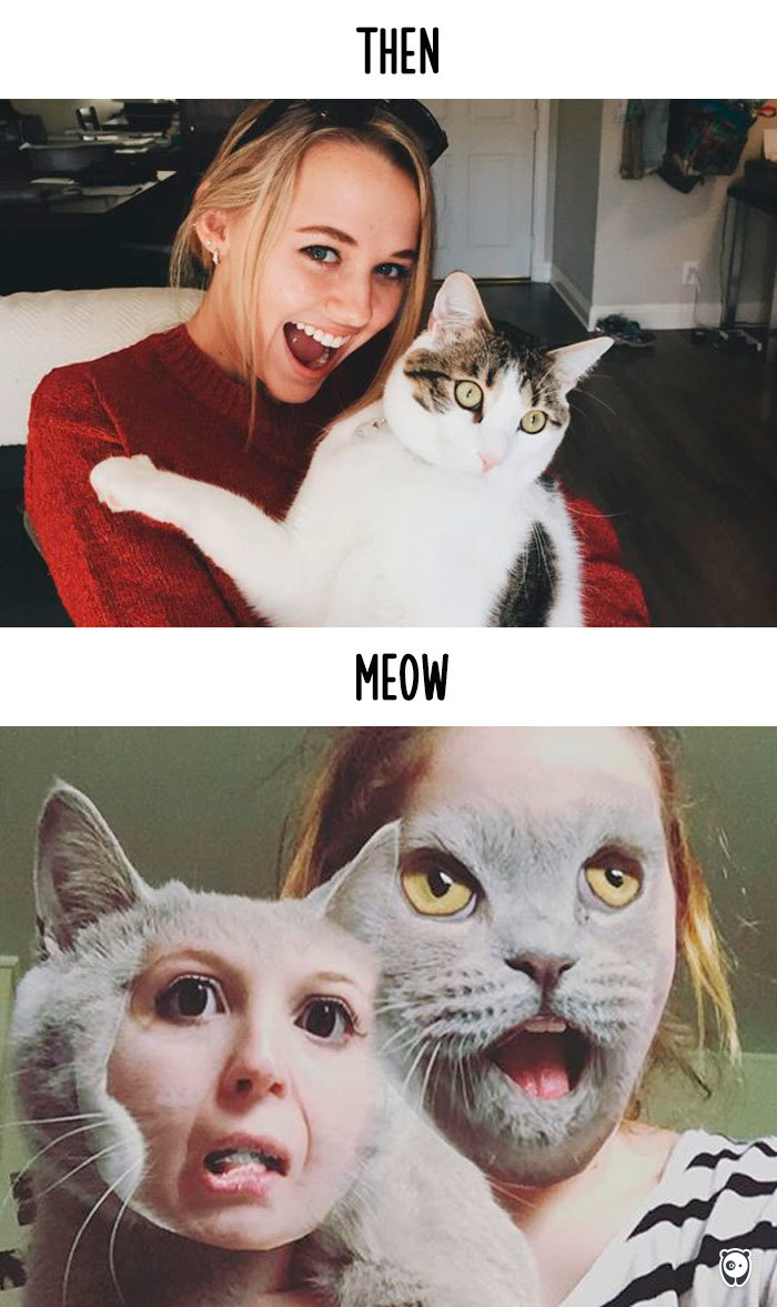 cats-then-now-funny-technology-change-life-12-57161e85847ed__700
