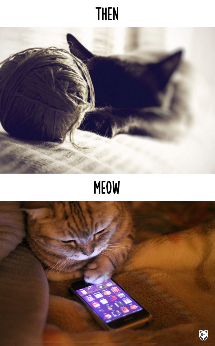 cats-then-now-funny-technology-change-life-2-5715f4cf7fd7f__700