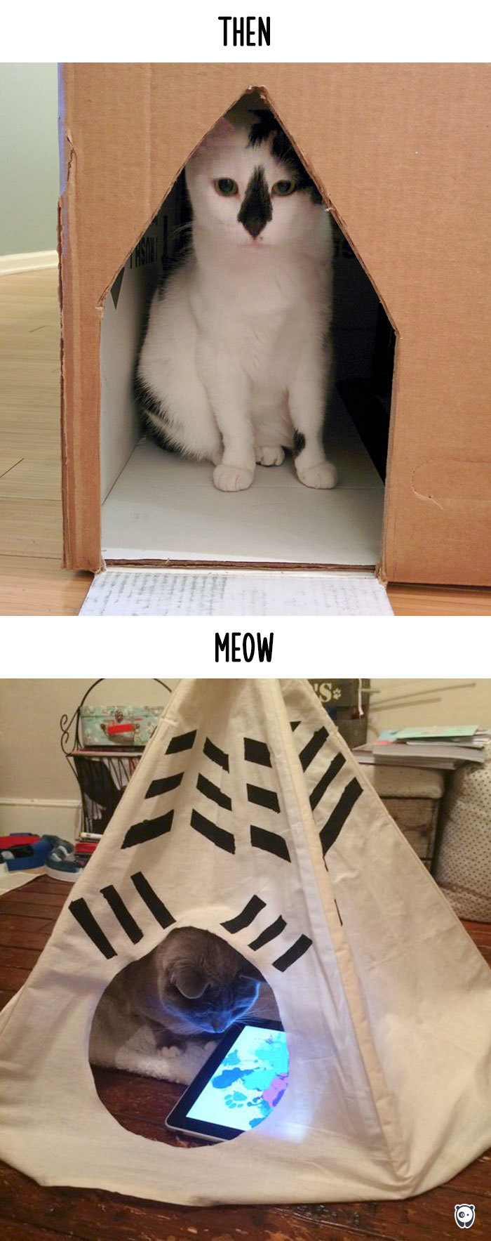 cats-then-now-funny-technology-change-life-20-571625ec249b3__700