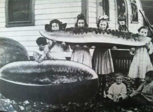 32 Compelling Strange And Odd Photos Throughout History Memolition