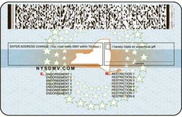 Driver license generator new york