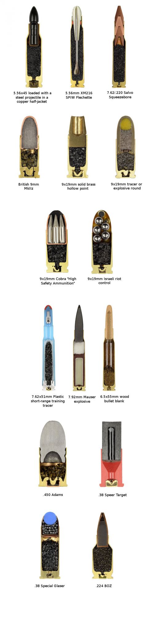 cross-sections-of-ammo-sabine-pearlman-7