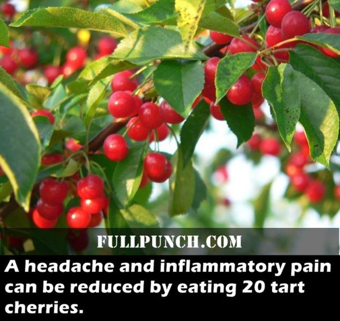fascinating_health_facts_17