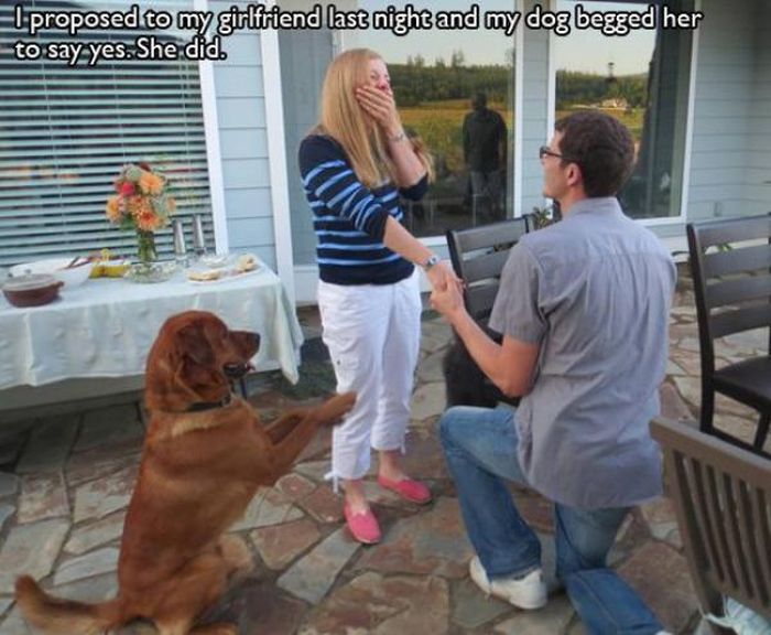 pet_owners_who_should_get_medals_for_being_awesome_08