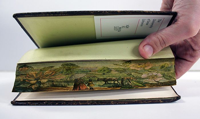 fore_edge_book_paintings_07
