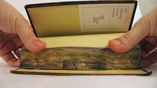 fore_edge_book_paintings_08