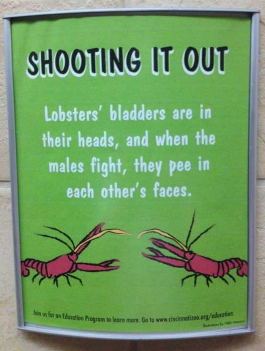 funniest_signs_from_this_summer_37