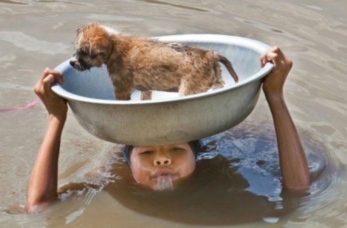 Heart Warming Pictures Of People Saving Animals | Memolition