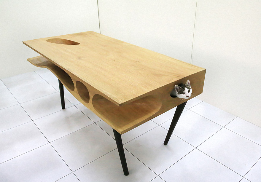 catable-shared-table-for-catsand-people-1